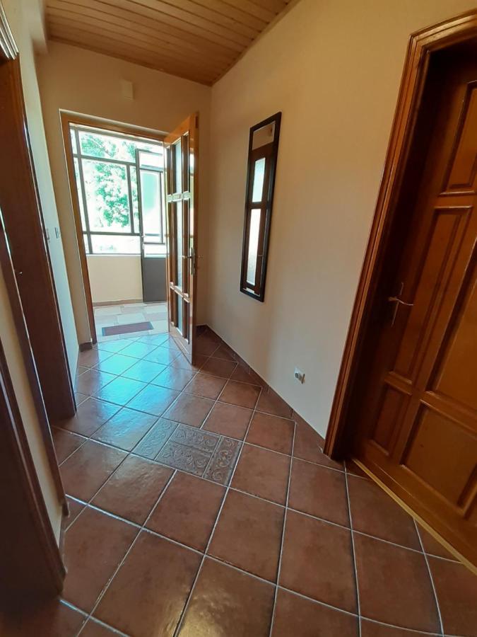 Apartman Damjanovic Τσέτινιε Εξωτερικό φωτογραφία